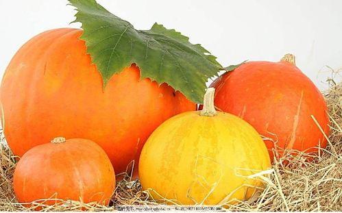 网红吃瓜免费入口在哪,独家攻略大公开