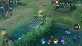 王者不正经爆料视频,揭秘游戏幕后趣闻，带你领略电竞圈的欢乐瞬间