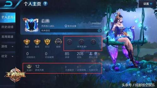 王者不正经爆料视频,揭秘游戏幕后趣闻，带你领略电竞圈的欢乐瞬间