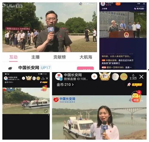 魏县最新事件爆料新闻直播,揭秘直播现场惊人爆料！