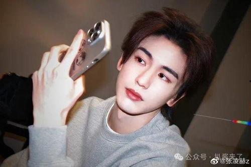 张凌赫恋情爆料最新视频,甜蜜互动引网友热议