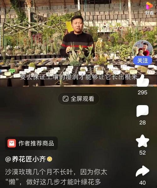 视频结尾爆料怎么做,幕后真相大起底