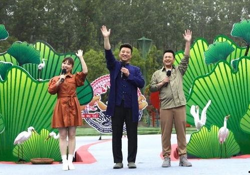 花姐最新爆料视频大全下载,揭秘娱乐圈幕后真相