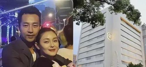 台媒爆料汪小菲视频,引发网友热议