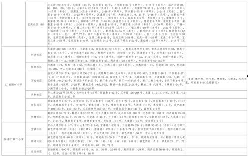 越南老街爆料视频大全最新,揭秘最新爆料视频中的独特魅力