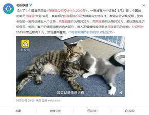 猫梨梨被爆料视频,真相与争议并存