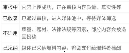 爆料视频指的是那些内容,内容大曝光，真相令人震惊！