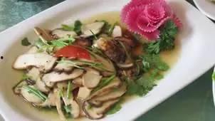 野生菌爆料视频播放大全