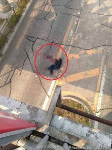 龙德广场爆料视频,揭秘广场最新动态与神秘事件