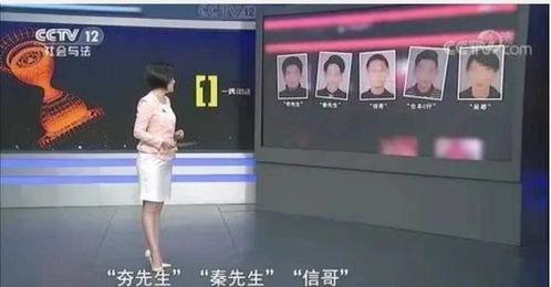 文轩内部人员爆料视频,揭秘公司内部真实情况