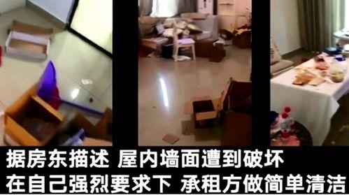 诗琪房间爆料视频大全,揭秘明星私生活瞬间