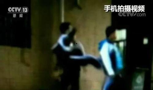 网红爆料校园暴力视频,网红视频揭露惊人真相