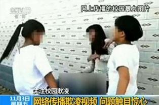 网红爆料校园暴力视频,网红视频揭露惊人真相