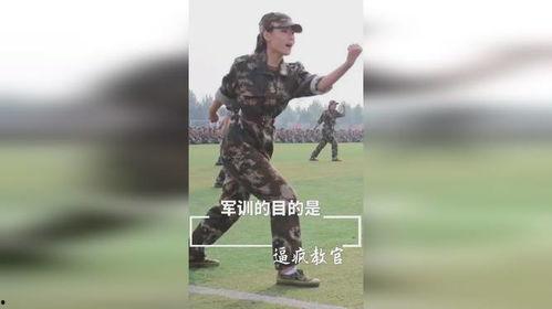 教官疯狂爆料视频大全