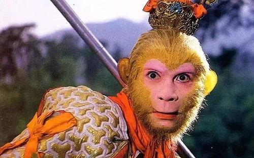 小鞠爆料孙悟空视频,孙悟空视频背后的神奇故事