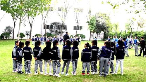 郑州小学爆料事件最新,揭开校园安全与管理的隐秘面纱