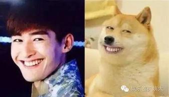 张翰娱乐爆料视频合集大全,揭秘明星幕后故事