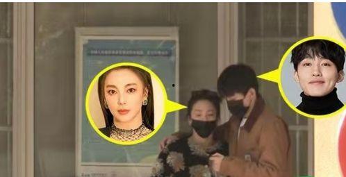 女星离婚爆料视频播放,女星离婚内幕，独家视频曝光引发热议