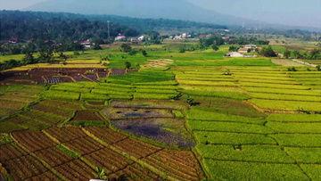 爆料乡村风景视频,揭秘我国乡村自然风光