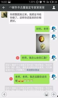 搞笑专家爆料大全视频下载,笑料横飞，欢乐无限视频下载攻略