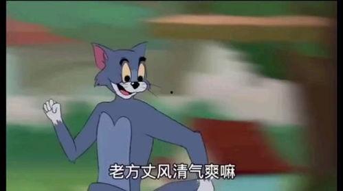 杰瑞爆料被打是哪一集视频,揭秘事件始末，一集视频揭露惊人真相