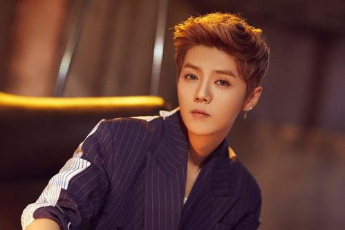 鹿晗家世爆料视频,豪门背景曝光，明星之路背后的故事