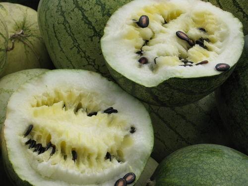 网红泡泡与黄钰杰吃瓜,一场吃瓜盛宴背后的故事