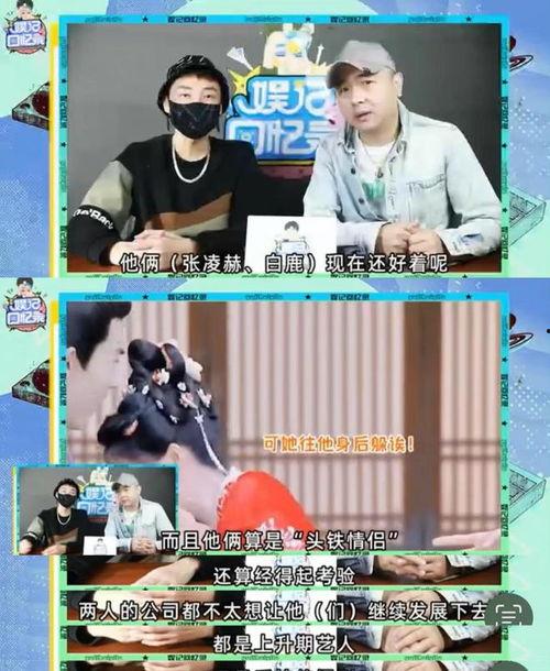 狗仔爆料白鹿最新视频,狗仔爆料揭秘幕后故事